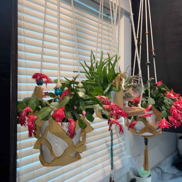 leather plant hangers Custom-made on Vancouver island. Holds 6 to 8 inch pot. - Picture 3 of 12